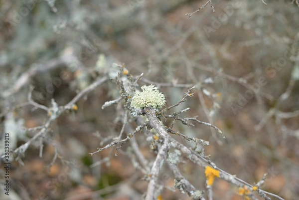 Obraz Chernobyl 2018