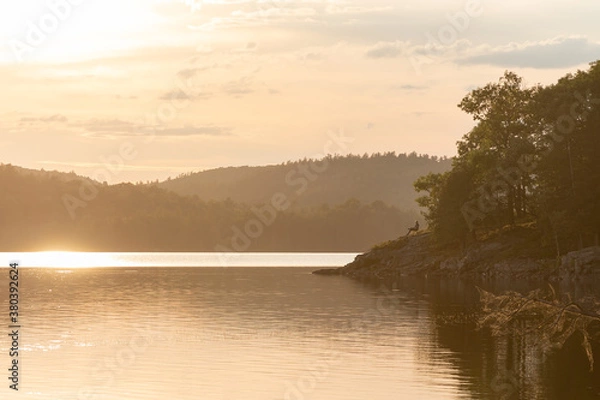 Obraz sunset on the lake