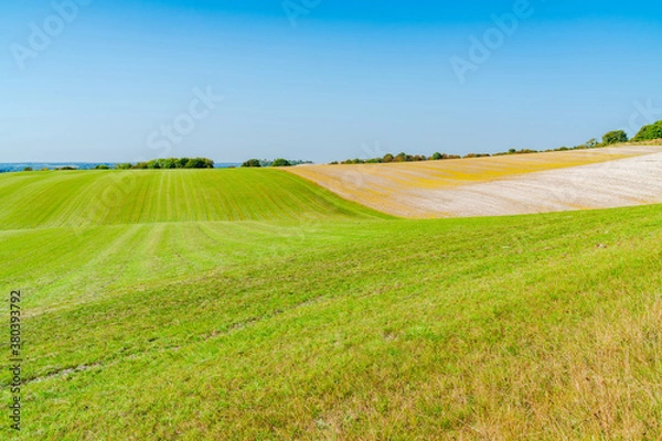 Obraz Dunstable Downs in the Chiltern Hills
