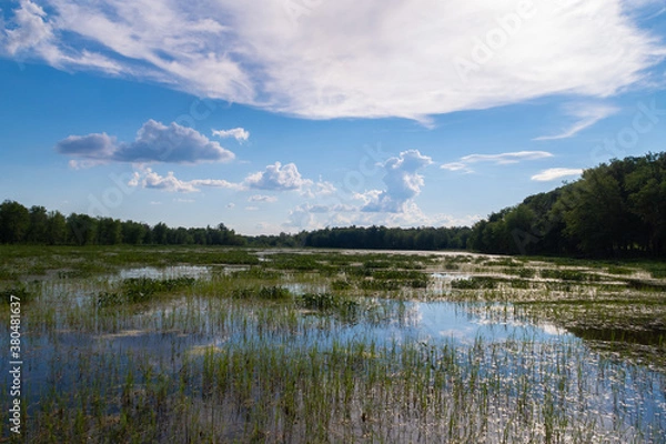 Obraz View of a marsh, in the Plaisance national park, Quebec