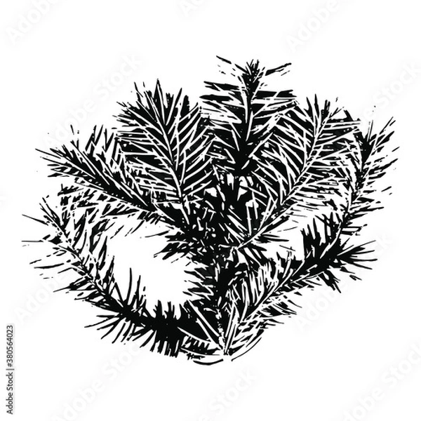 Fototapeta Imprint of a natural branch Christmas tree. Isolated silhouette on a white background. Suitable for New Year, Christmas, print, postcard, pattern, winter design. Botanical vector illustration.