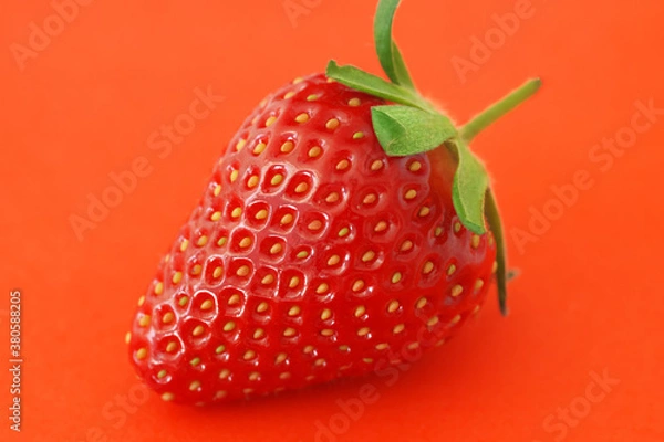 Obraz Strawberry close-up