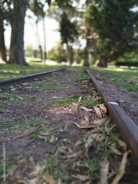 Obraz Caminos del riel