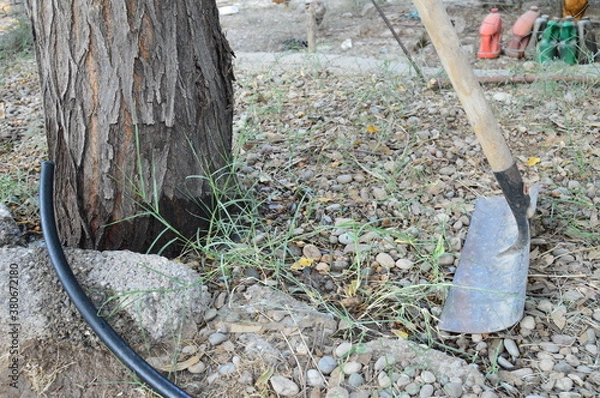 Obraz axe in the grass