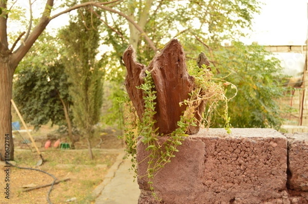Obraz tree in the park