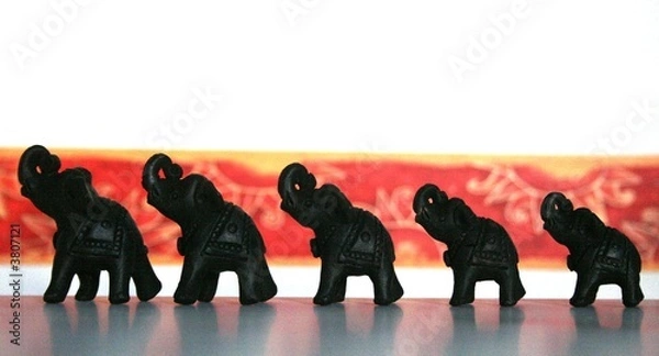 Fototapeta Elephants 7