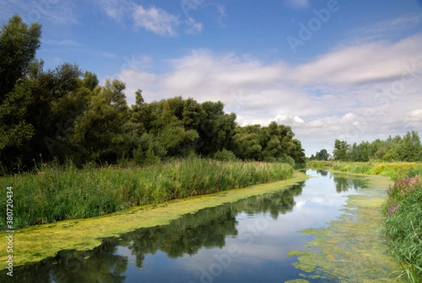 Obraz National Park de Biesbosch