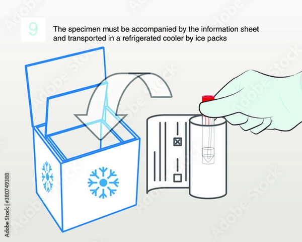 Fototapeta Step 9 : The specimen must be accompanied by the information sheet and transported in a refrigerated cooler by ice packs