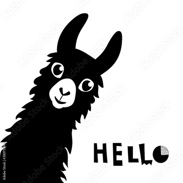Obraz Llama Alpaca. Hello card. Vector illustration