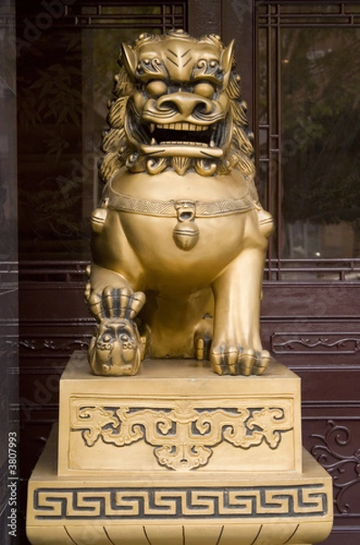 Obraz Chinese dragoon