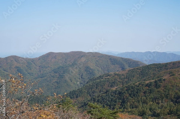 Fototapeta 주왕산 단풍 구경