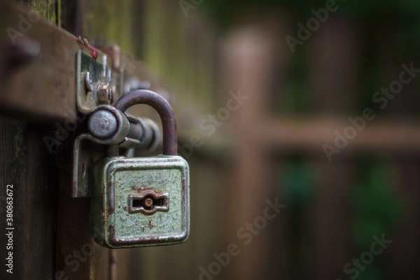 Fototapeta padlock on the garden gate