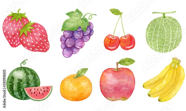 Fototapeta イラスト素材:フルーツのセット