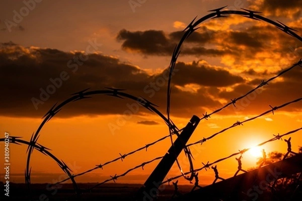 Obraz Barbed Wire Sunset