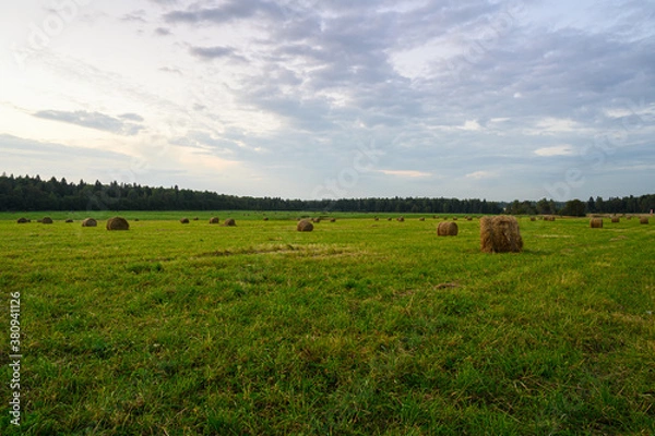 Fototapeta green field with haystacks in the Russian countryside