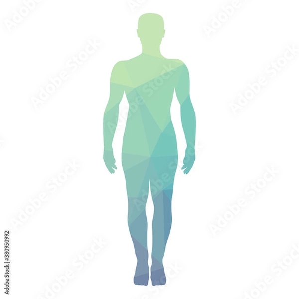 Fototapeta abstract geometrical pattern inside human body, vector