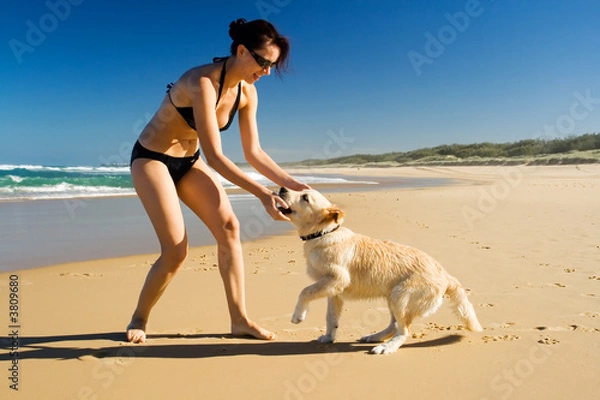 Fototapeta Bikini girl playing with puppy on the beach