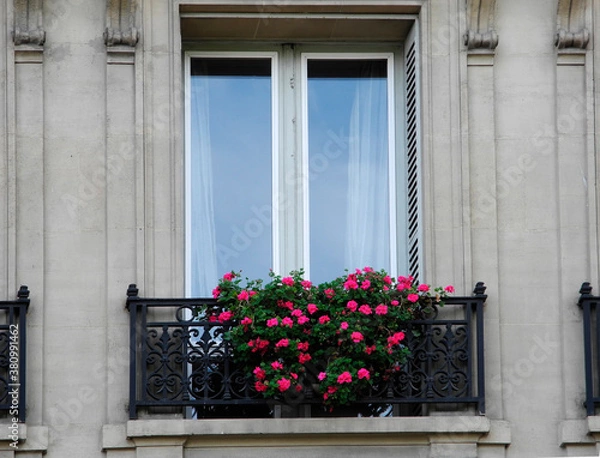 Obraz Paris single window with flowers, Spring