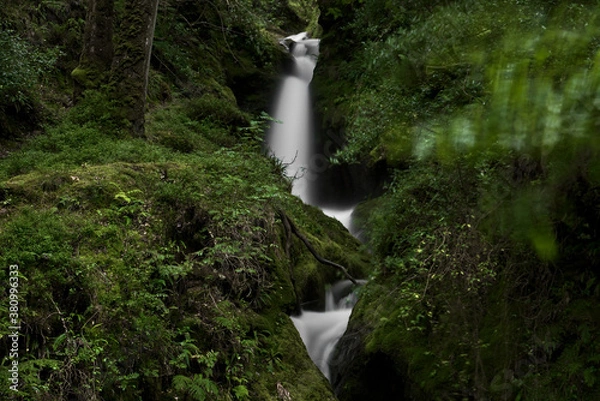 Fototapeta Small narrow waterfall in magic forest. Tiny waterfall. Long-exposure photo of Poulanass Waterfall, Wicklow Way, Derrybawn, Co. Wicklow, Ireland