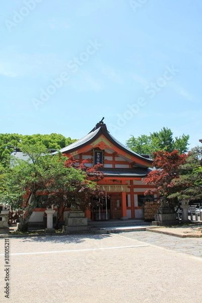 Fototapeta 福岡市の紅葉八幡宮社殿