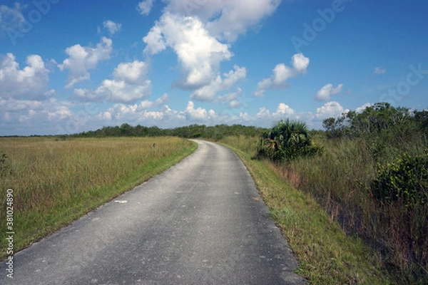 Obraz Bike Path Through Florida Wetlands