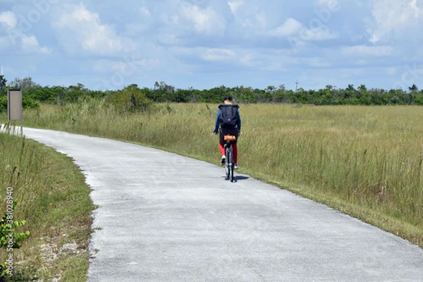 Obraz Bike Path Through Florida Wetlands