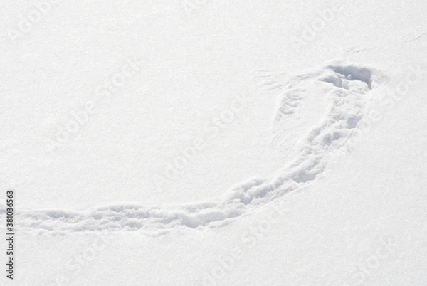Fototapeta 冬　雪　素材