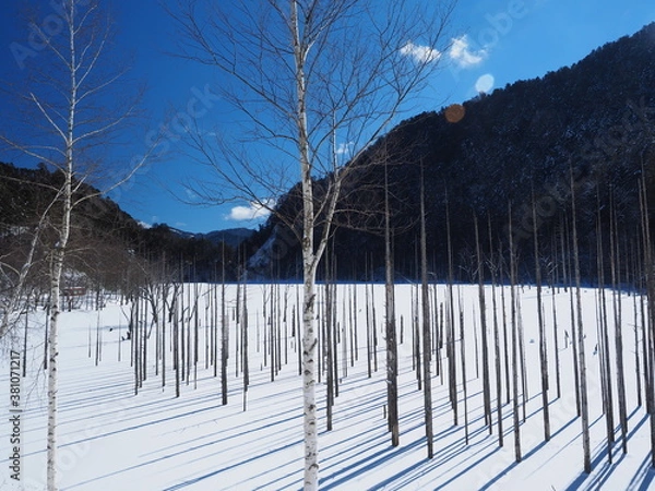 Obraz 信州の冬の絶景！氷結した自然湖