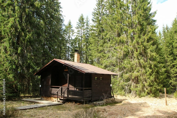Fototapeta The wooden cottage hidden deep in the woods of the Czech national protected area called Šumava. Used by the local scouts or foresters. 