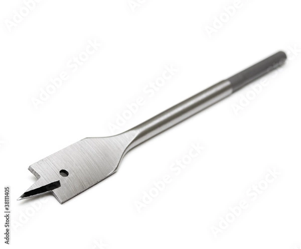 Obraz Wood spade drill bit