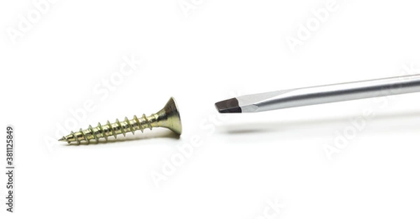 Fototapeta screwdriver and self-tapping screw isolated on white background