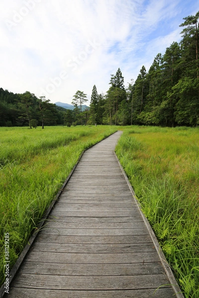 Fototapeta 徳島県三好市　黒沢湿原の風景