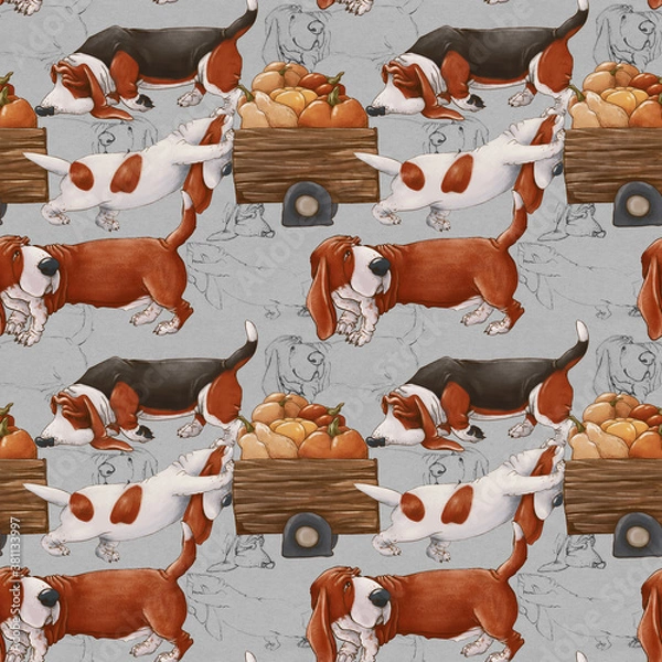Obraz Dog friends are harvesting. Basset Hounds are driving a cart of pumpkins. Delicate seamless pattern.