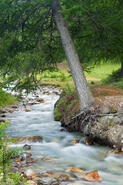 Fototapeta mountain river