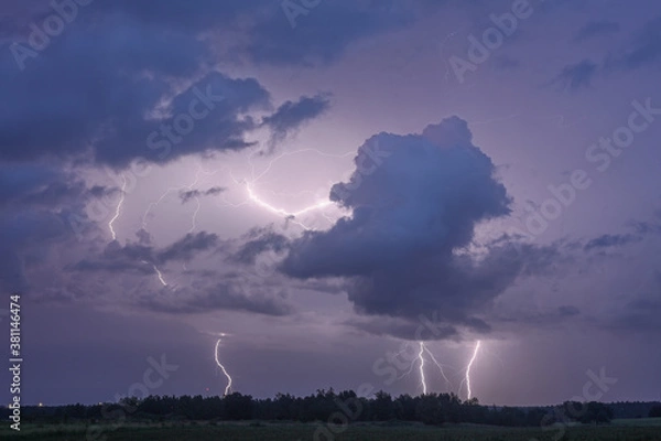 Obraz lightning in the field