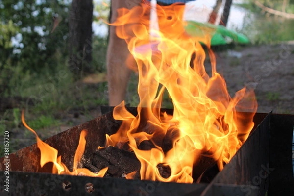 Obraz fire in the fireplace