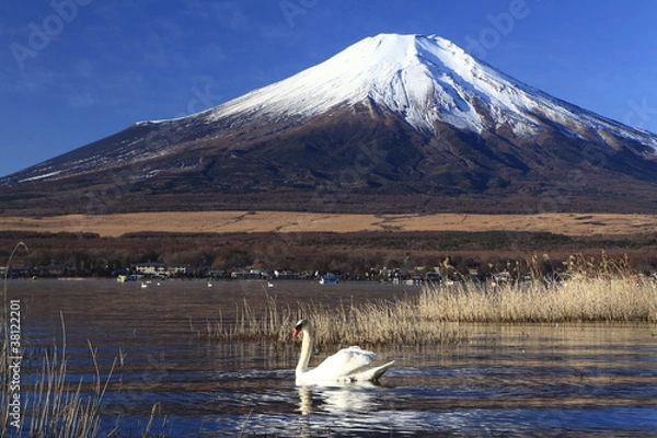 Obraz Mt. Fuji i Swan