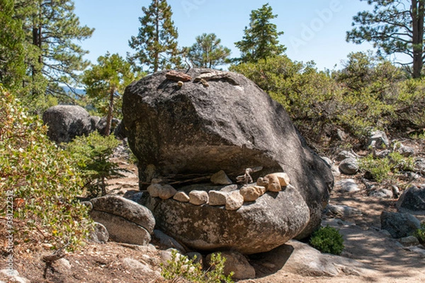 Fototapeta funny rocks decorated like large shark or whale 