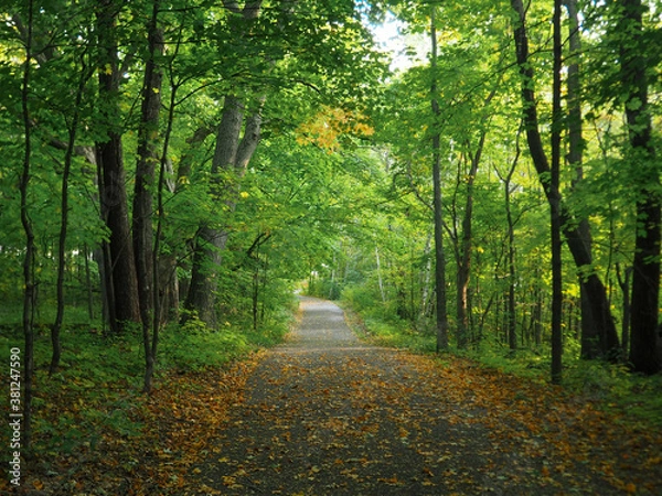 Obraz Early autumn paved trail