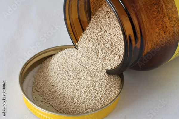 Obraz Dry yeast