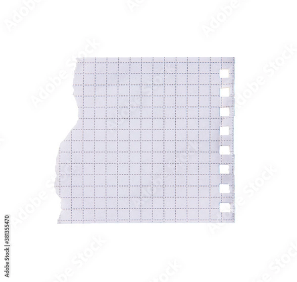 Fototapeta Blank note book page with torn edge. Torn paper.