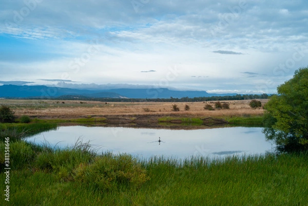 Fototapeta Australiia