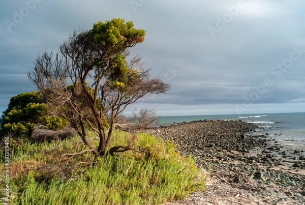 Fototapeta Australiia