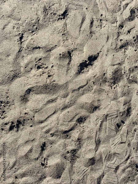 Obraz traces on sand