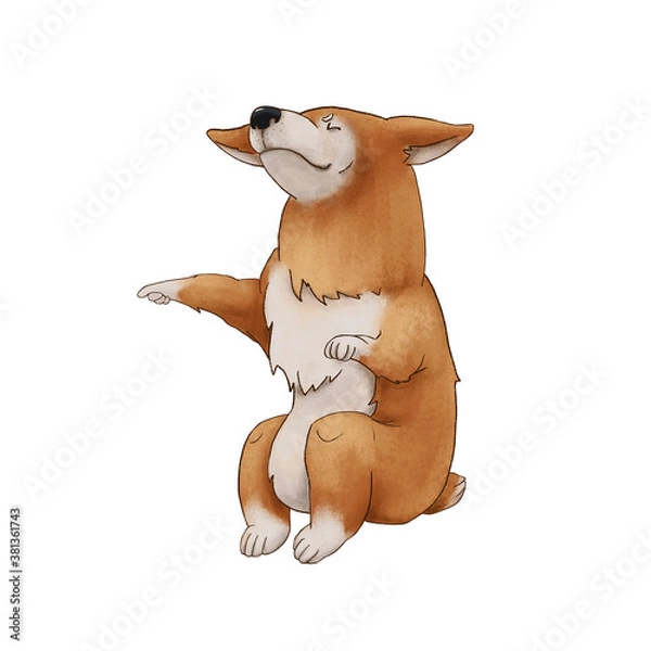 Fototapeta Corgi dog leads with closed eyes. redhead business puppy isolated on white background