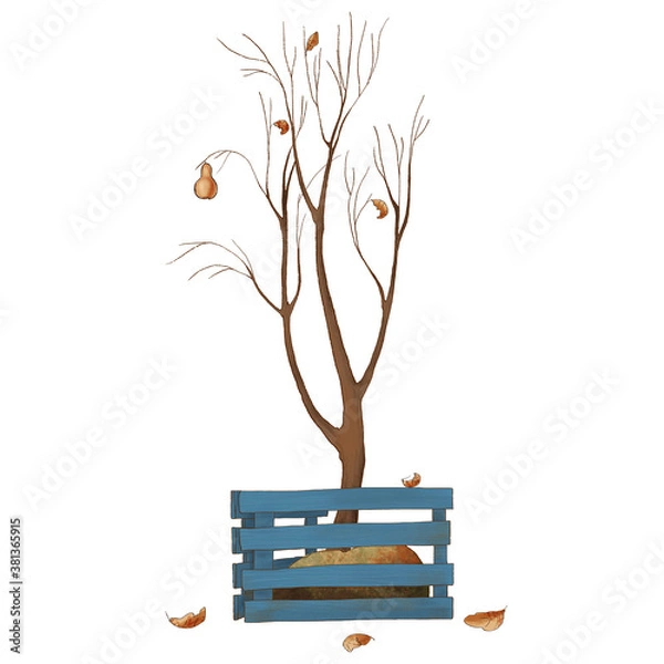 Obraz Bare autumn tree in a blue box of boards. drawing on a white background. leaf fall