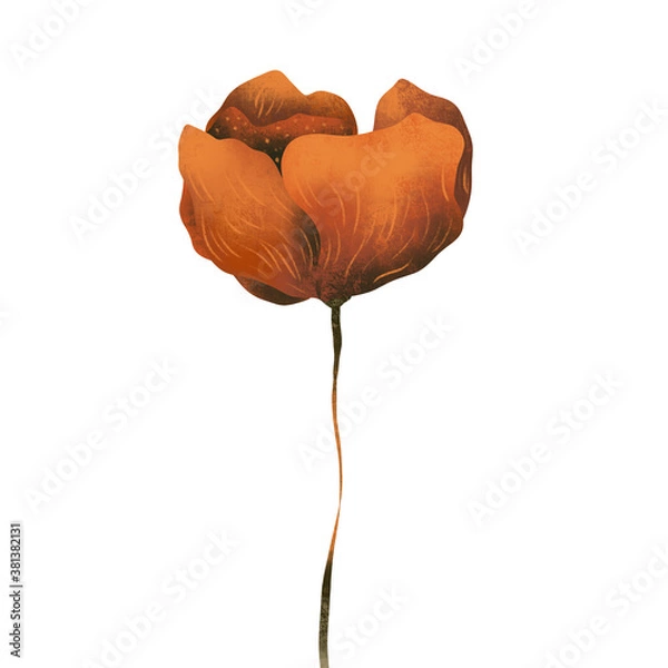 Fototapeta Raster flower. Floral illustration on white background. Botanical image can be used for wedding invitation, design template, greeting card, patterns fill.