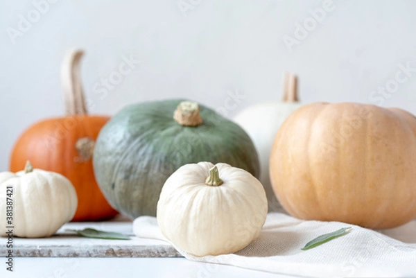 Fototapeta Different color pumpkins on white table, background