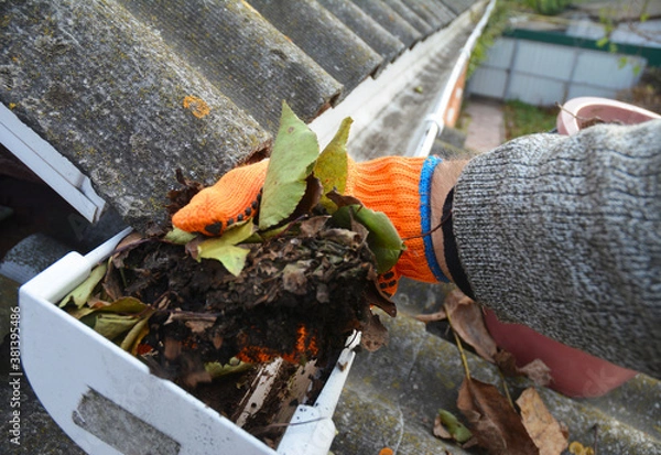 Fototapeta A man is cleaning a clogged roof gutter from dirt, debris and fallen leaves to prevent water damage and let rainwater drain properly.