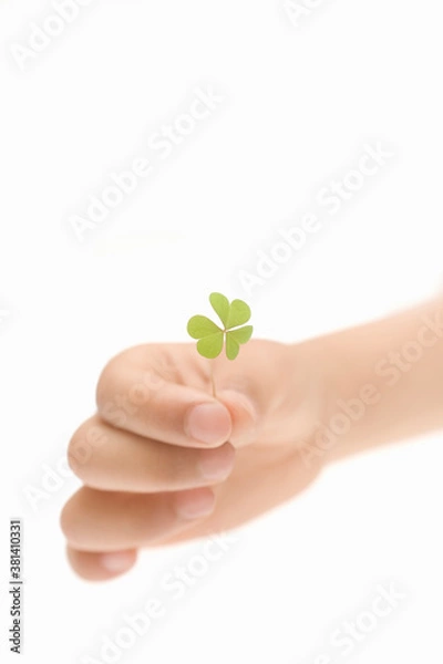 Fototapeta 子供の手